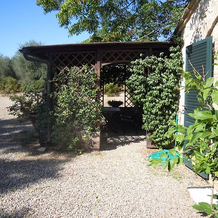 Fontemaggio Διαμέρισμα Colle Val D'Elsa Εξωτερικό φωτογραφία