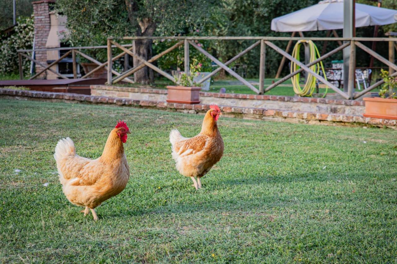 Fontemaggio Διαμέρισμα Colle Val D'Elsa Εξωτερικό φωτογραφία